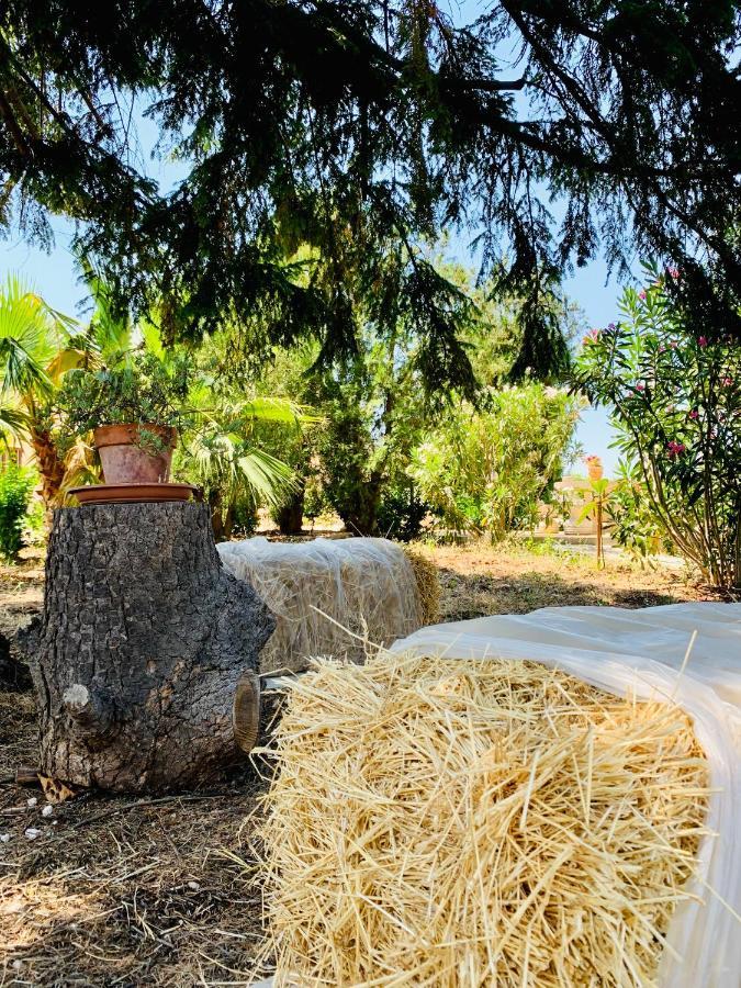Trulli Pietra Viva Holiday home