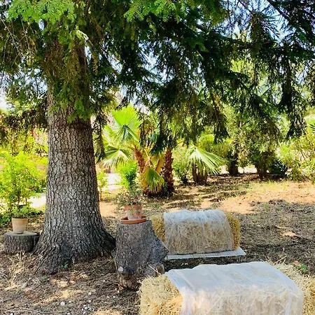 Villa Trulli Pietra Viva Alberobello Esterno foto